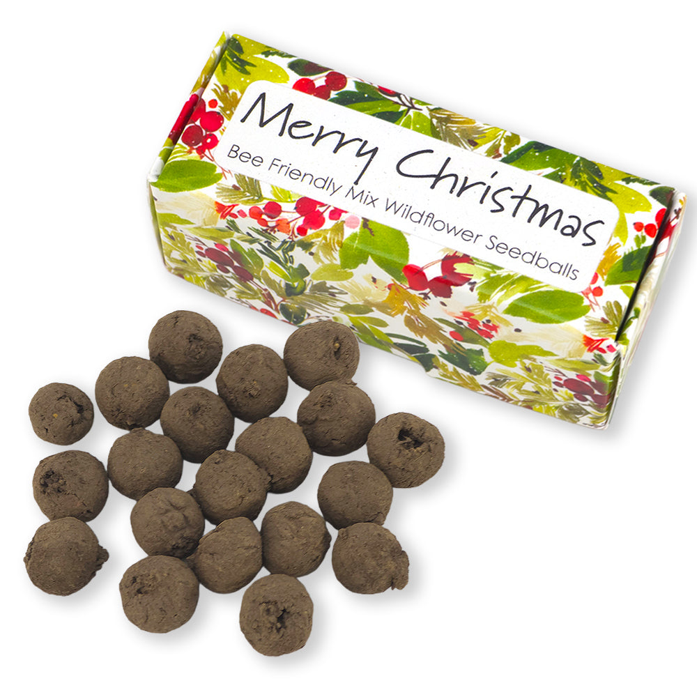Watercolour Berries | Merry Christmas | 20 Bee Mix Seedballs | Cracker Filler