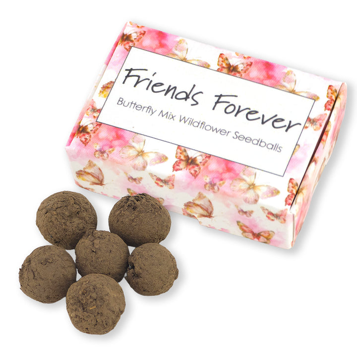 Friends Forever | 6 Seedball Matchbox | Butterfly Mix | Cracker Filler Gift