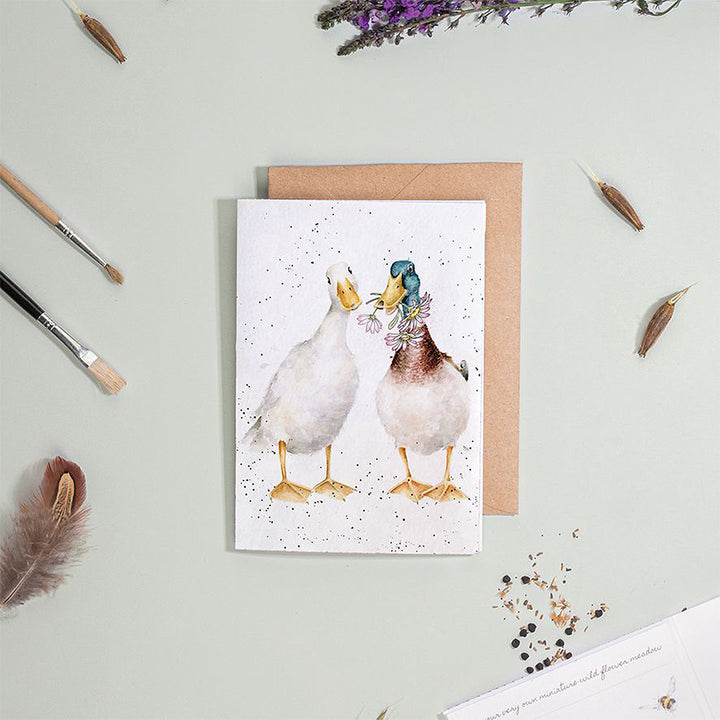 Ducks and Daisies | Blank Card & Wild Flower Seeds | 10.5x15cm | Wrendale Designs