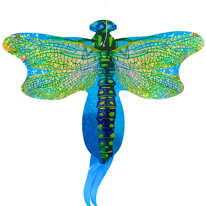 Dragonfly | Insect Themed Little Kite | Party Bag Gift | Mini Gift