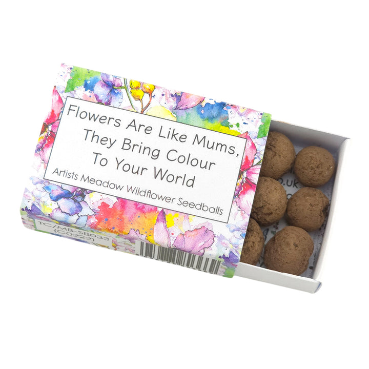 Flowers Are Like Mums | Artist Mix | 6 Seedball Box | Cracker Filler