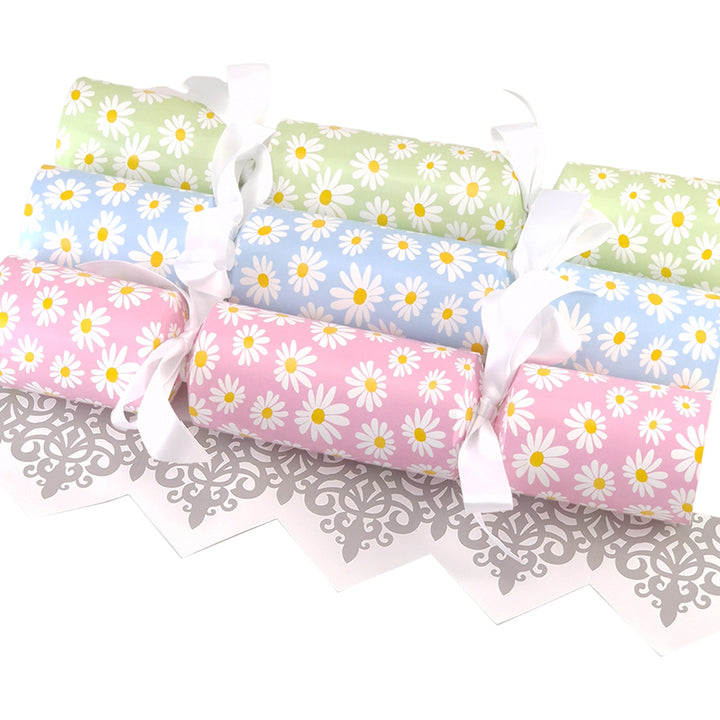 Assorted Colour Daisy Flower Cracker Making Kits - Make & Fill Your Own