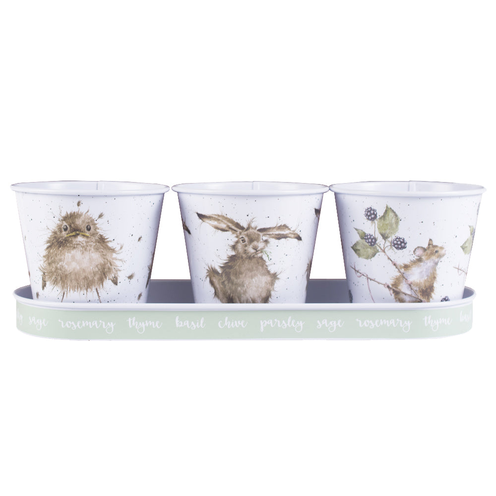 Country Animal Tin Herb Pots and Tray Gardeners Gift Trio | Wrendale Designs