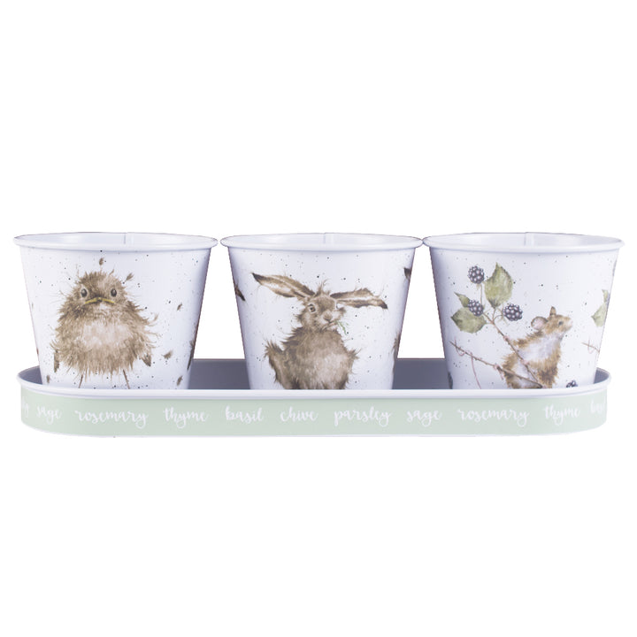 Country Animal Tin Herb Pots and Tray Gardeners Gift Trio | Wrendale Designs
