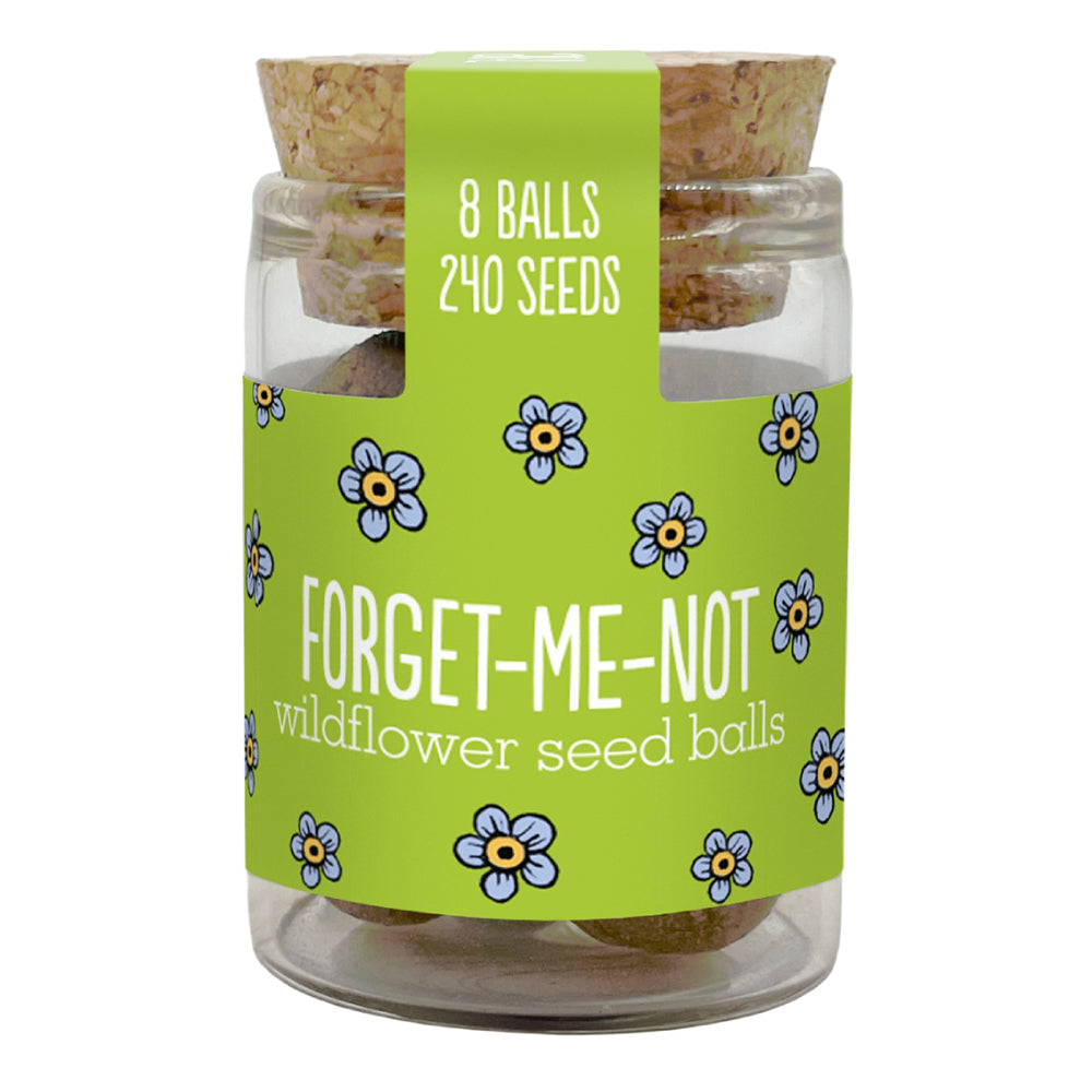 Gorgeous Wildflower Seed Ball Jar | 8 Balls | Cracker Filler | Little Gift