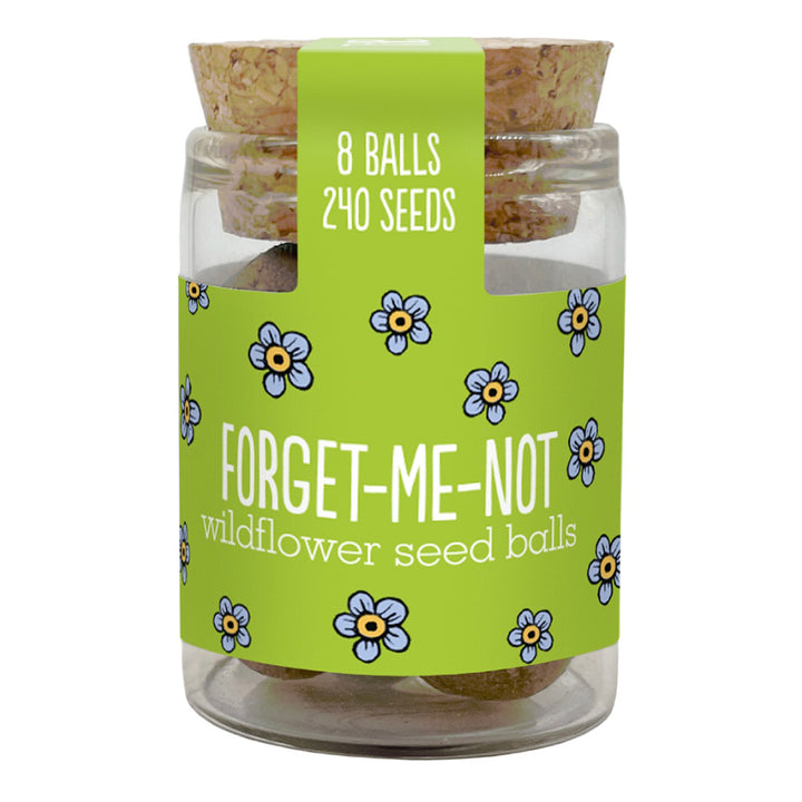 Gorgeous Wildflower Seed Ball Jar | 8 Balls | Cracker Filler | Little Gift