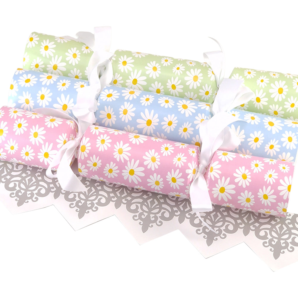 Assorted Colour Daisy Flower | Cracker Making Craft Kit | Make &amp; Fill Your Own