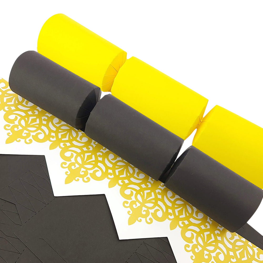 Buzzing Bee Shades | Craft Kit to Make 8 Recyclable Crackers | Cracker Making