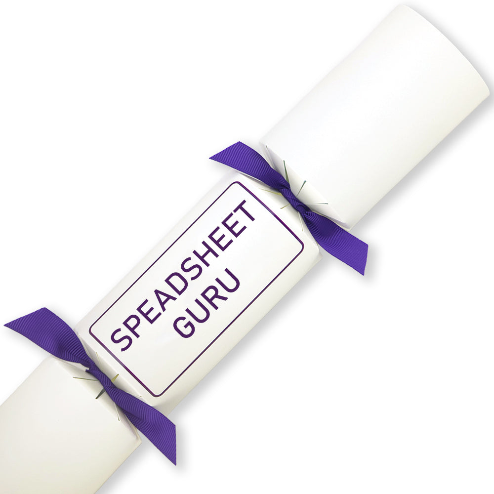 Spreadsheet Guru | Single Cracker Making Craft Kit | Office Banter