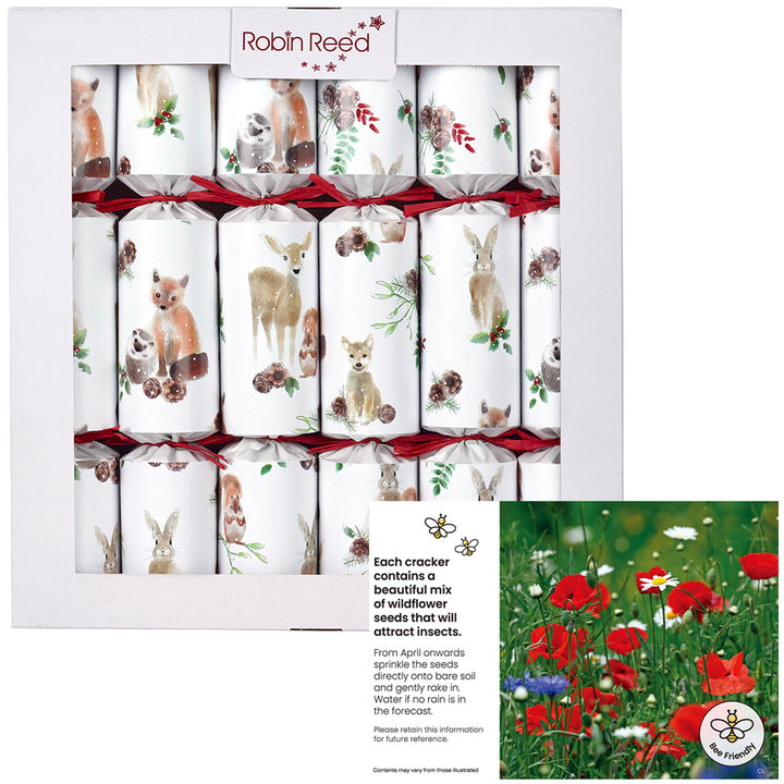 6 Eco Forest Cuties Christmas Crackers | 30cm | Filled with Flower Seeds