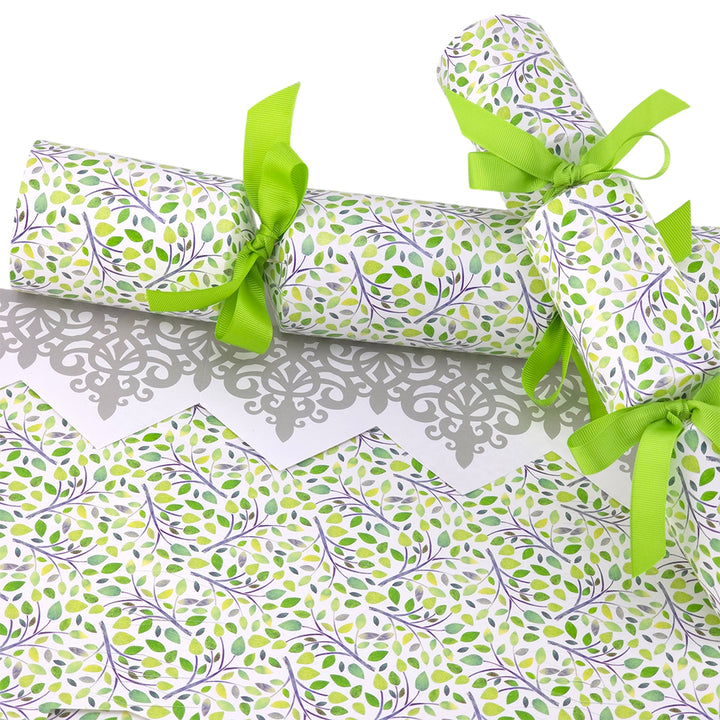 New Growth | Cracker Making Craft Kit | Make &amp; Fill Your Own