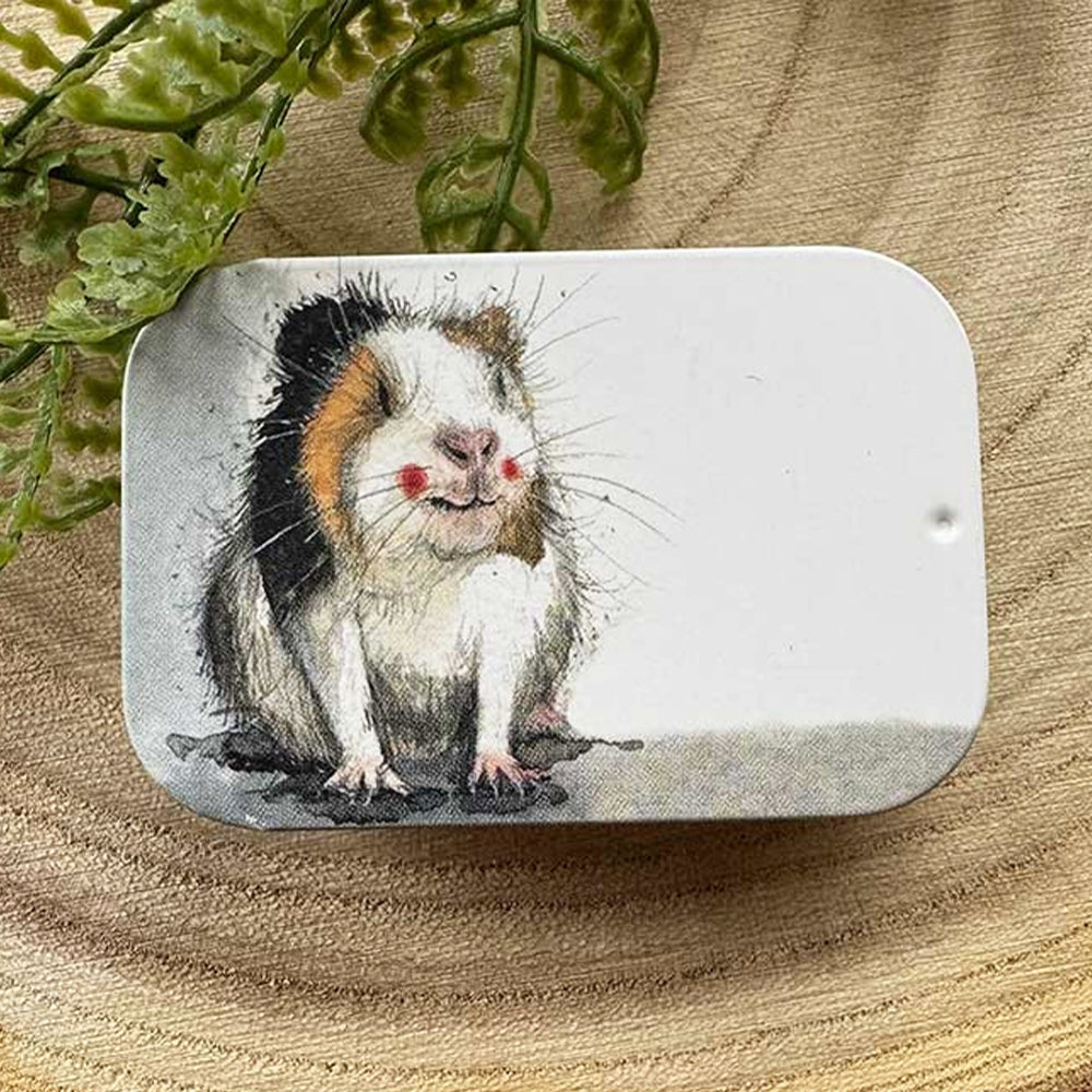 Guinea Pig | Little Slide Shut Tin to Fill | Mini Gift | Cracker Filler