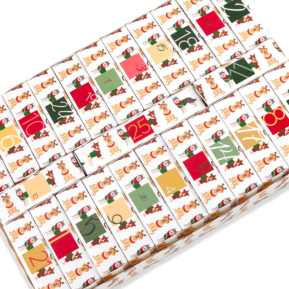 Advent Calendar Making Kit | 25 Soap Boxes &amp; Outer Box | Christmas Dogs