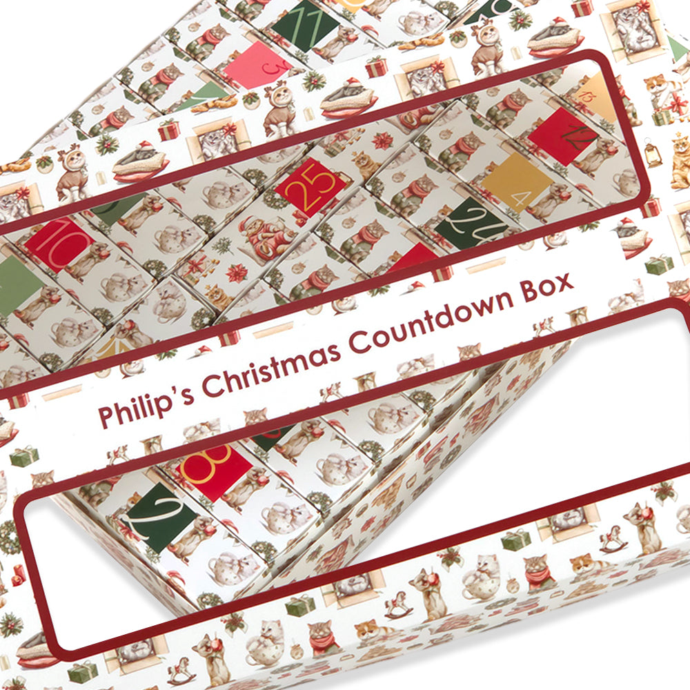 Personalised Advent Calendar Kit | 25 Soap Boxes & Outer Box | Cute Christmas Cats