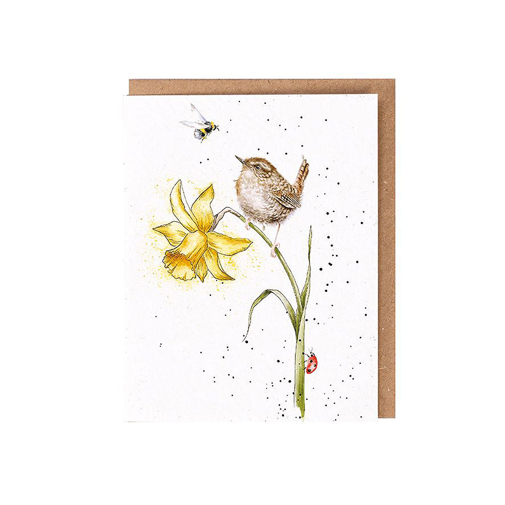 Birds and Bees | Blank Card & Wild Flower Seeds | 10.5x15cm | Wrendale Designs