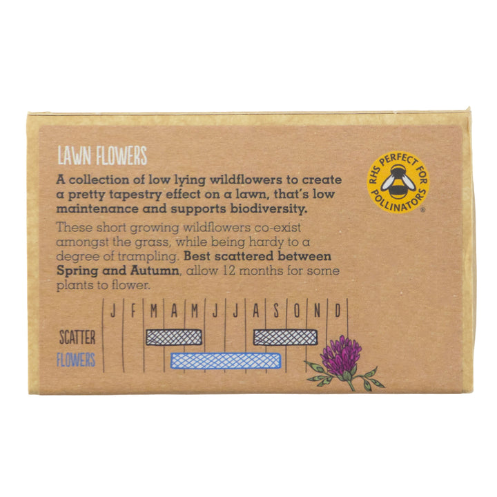Hero Lawn | 20 Native Wildflower Seedballs | Little Gift | Cracker Filler