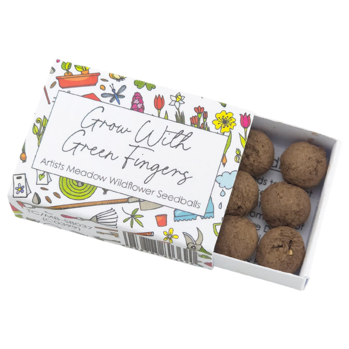 Grow with Green Fingers | Artist Mix 6 | Seedball Box | Cracker Filler Gift