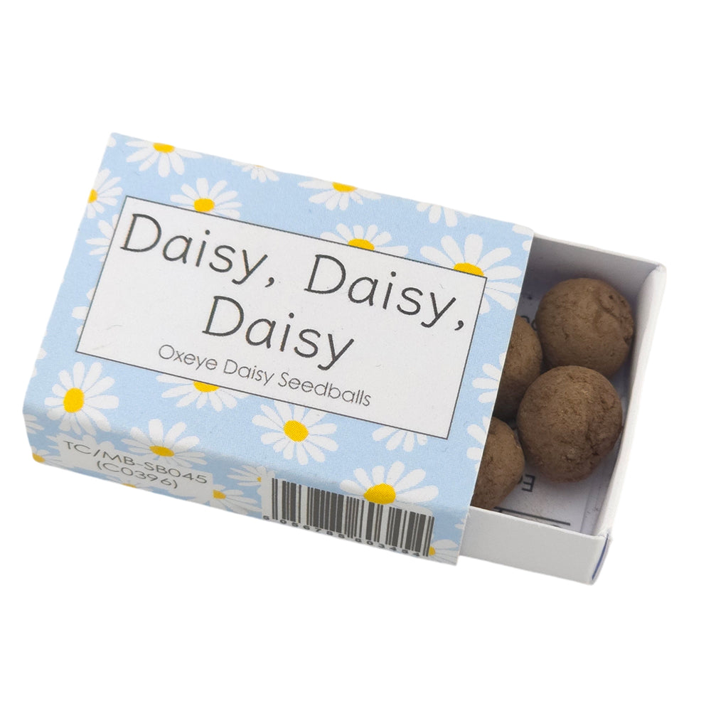 Blue Daisy Design | Seedball Box | Oxeye Daisies | Cracker Filler | Little Gift
