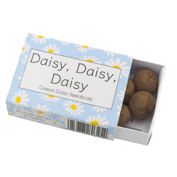 Blue Daisy Design | Seedball Box | Oxeye Daisies | Cracker Filler | Little Gift