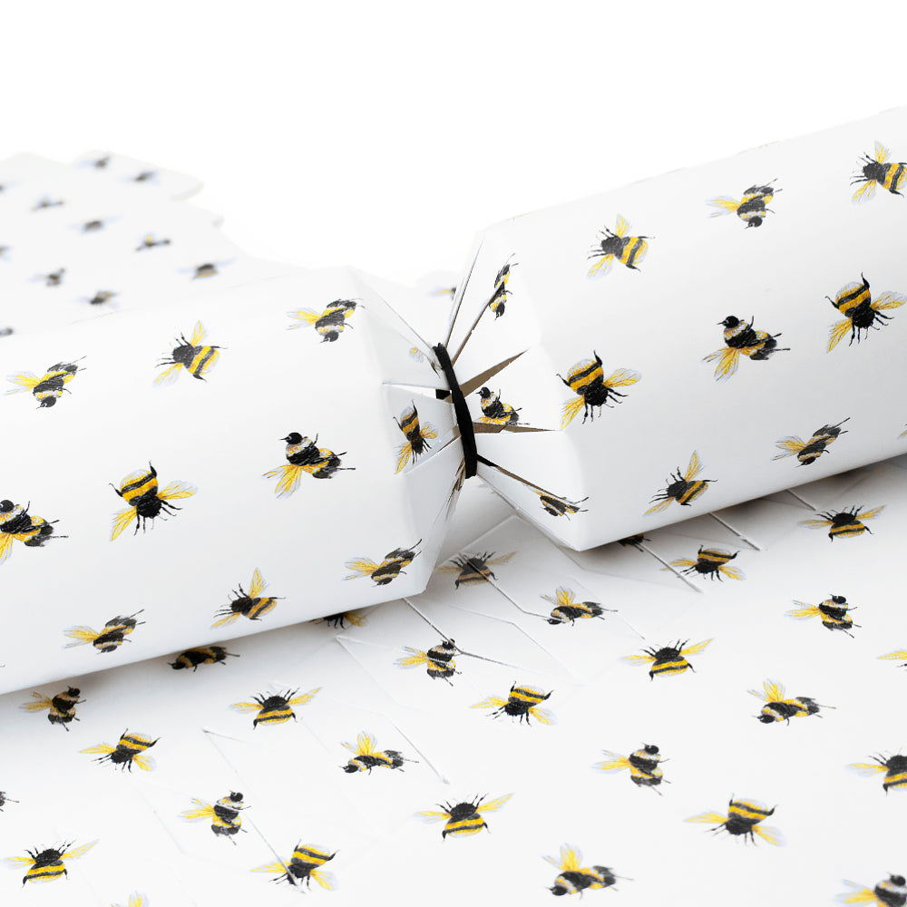 Watercolour Bee | Cracker Making Craft Kit | Make &amp; Fill Your Own