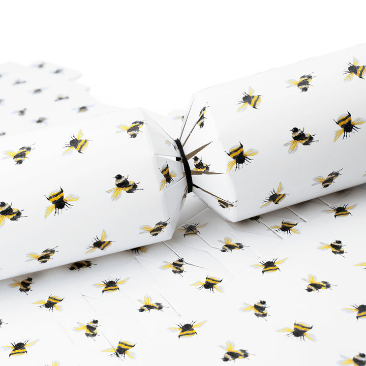 Watercolour Bee | Cracker Making Craft Kit | Make &amp; Fill Your Own