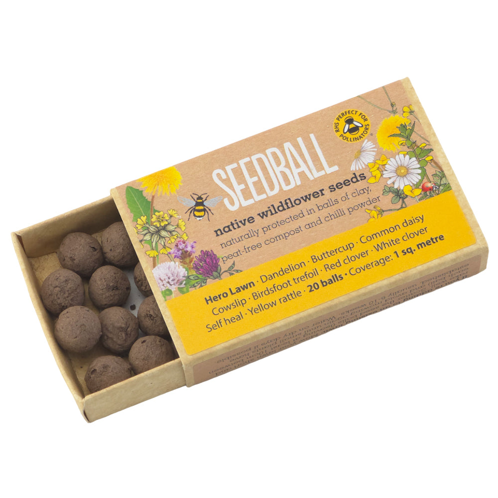 Hero Lawn | 20 Native Wildflower Seedballs | Little Gift | Cracker Filler
