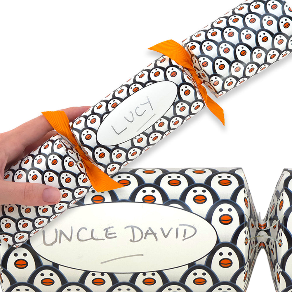 Personalise Your Own Crackers Craft Kit | Just Penguins | Minimum 4