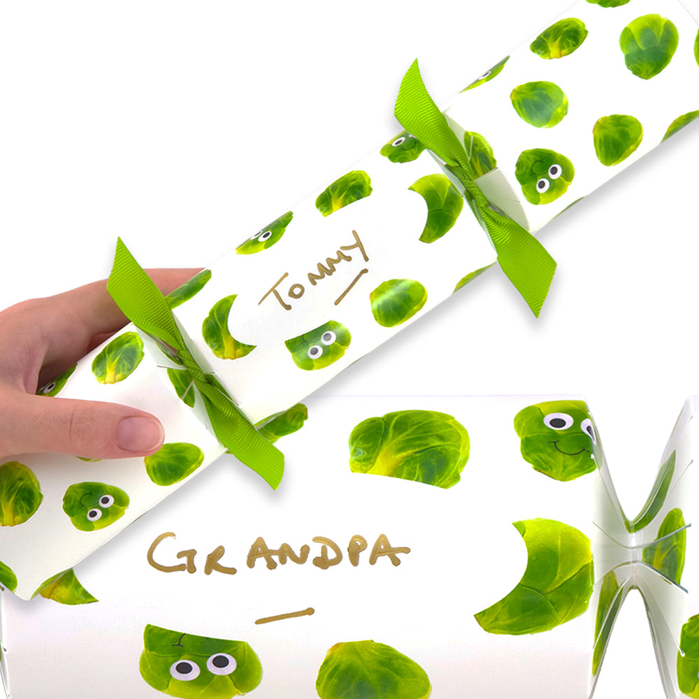 Personalise Your Own Crackers Craft Kit | Googly Sprouts | Minimum 4