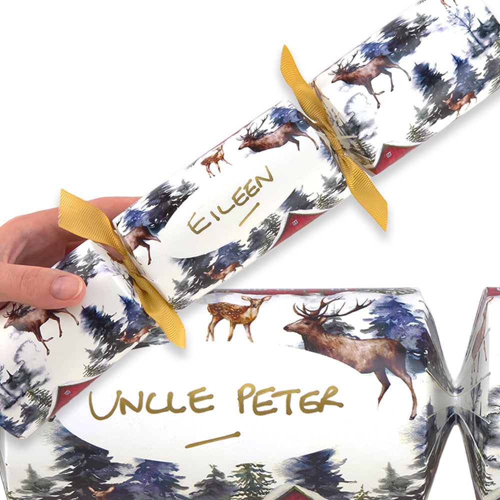 Personalise Your Own Crackers Craft Kit | Christmas in the Alps | Minimum 4