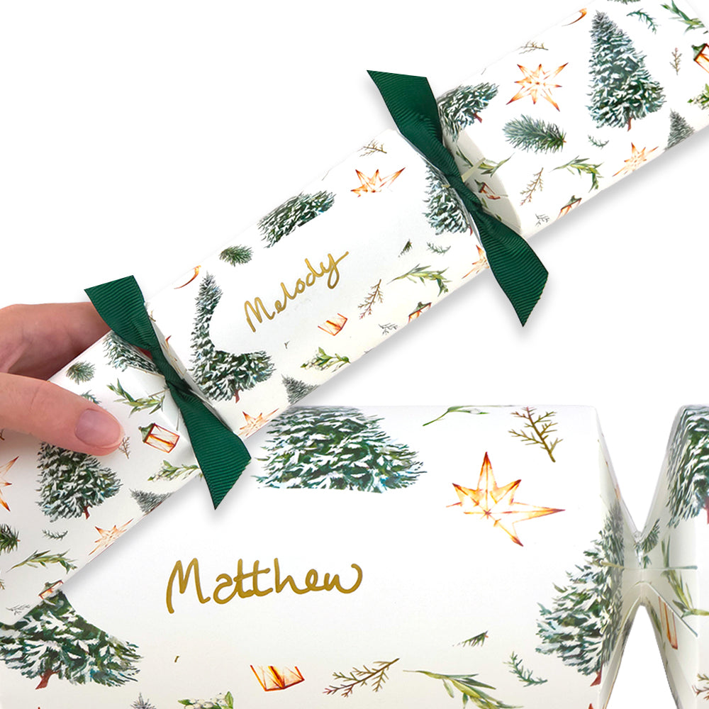 Personalise Your Own Crackers Craft Kit | Christmas Watercolour | Minimum 4