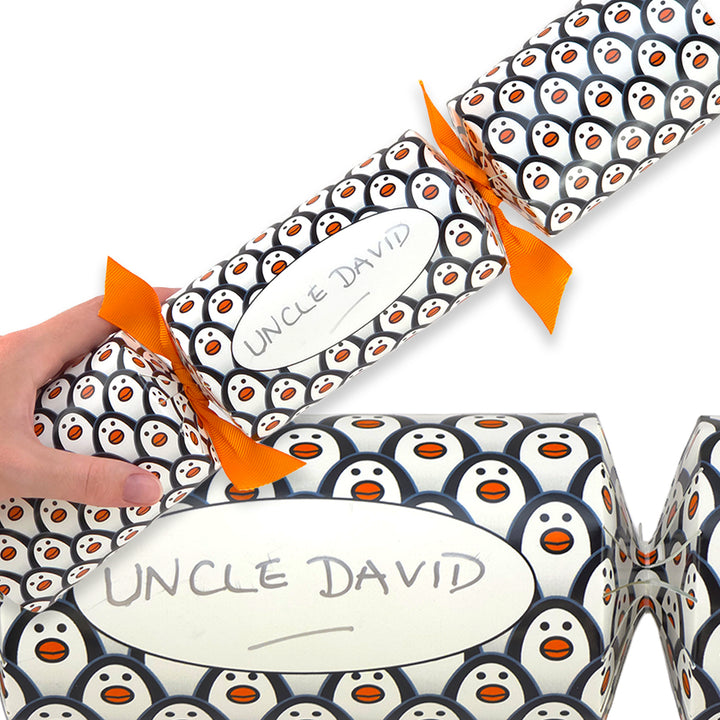 Personalise Your Own Crackers Craft Kit | Just Penguins | Minimum 4