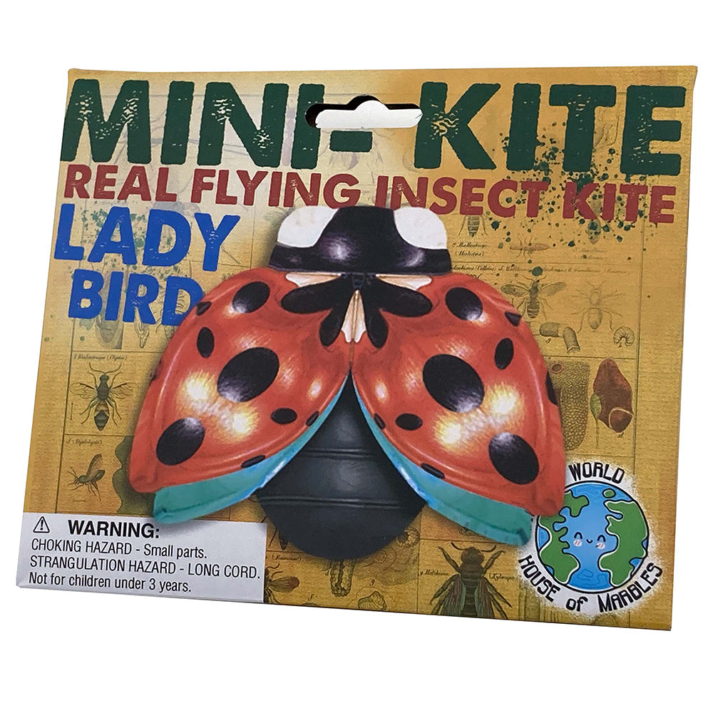 Ladybird | Insect Themed Little Kite | Party Bag Gift | Mini Gift