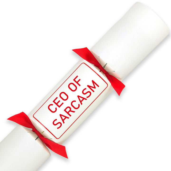 CEO of Sarcasm | Single Cracker Making Craft Kit | Office Banter