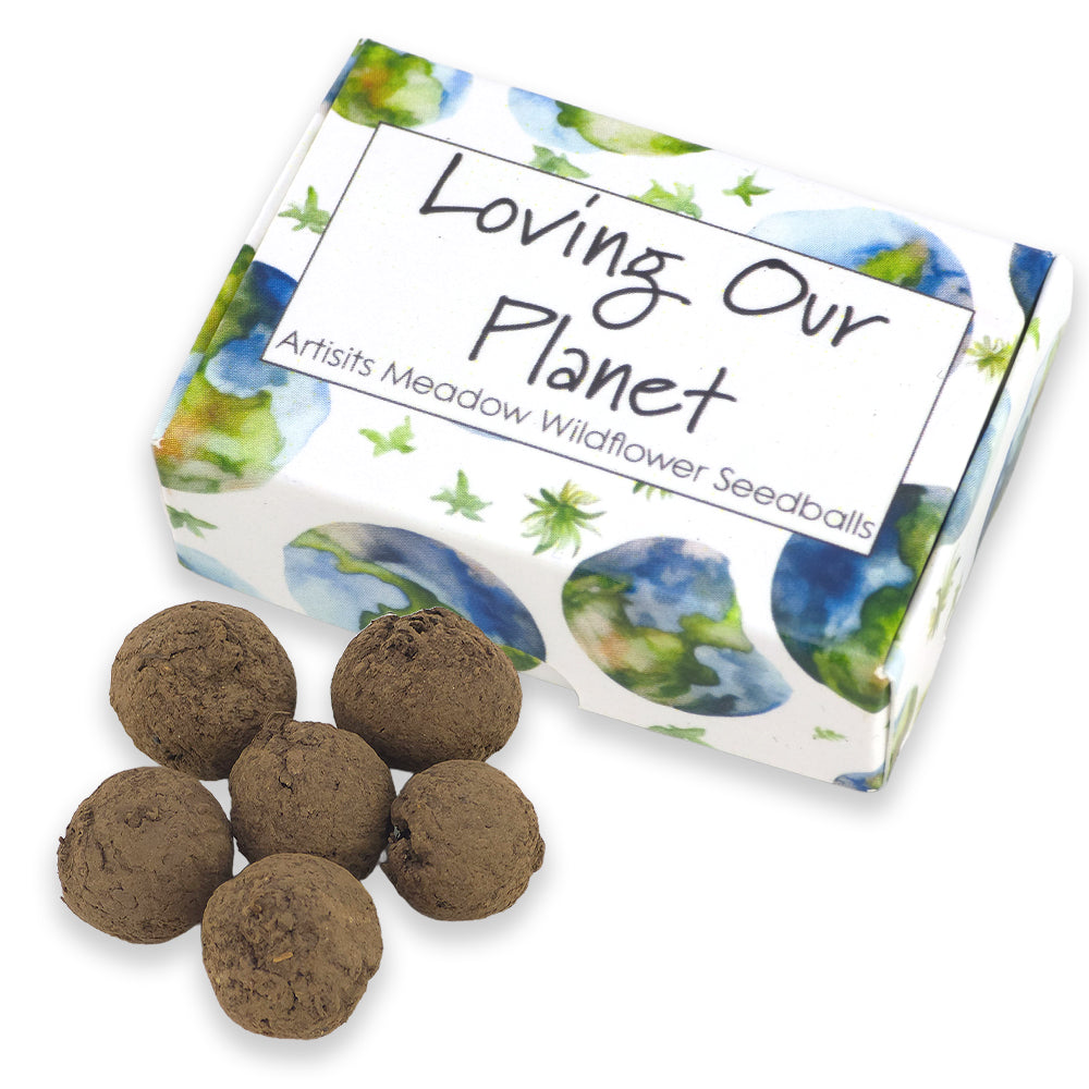 Loving Our Planet | Artist Mix | 6 Seedball Box | Cracker Filler | Little Gift