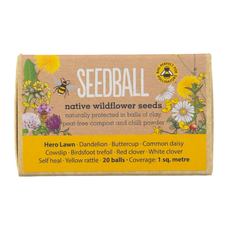 Hero Lawn | 20 Native Wildflower Seedballs | Little Gift | Cracker Filler