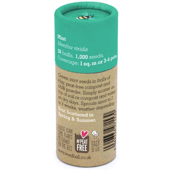 Mint | Luxury Tube of Seedballs | Cracker Filler | Little Gift