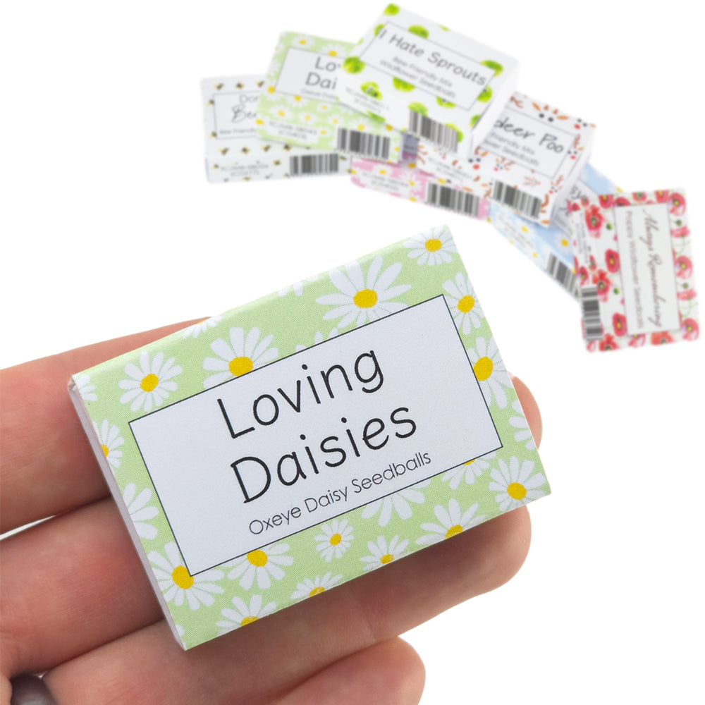 Green Daisy Design | Seedball Box | Oxeye Daisy | Cracker Filler | Little Gift
