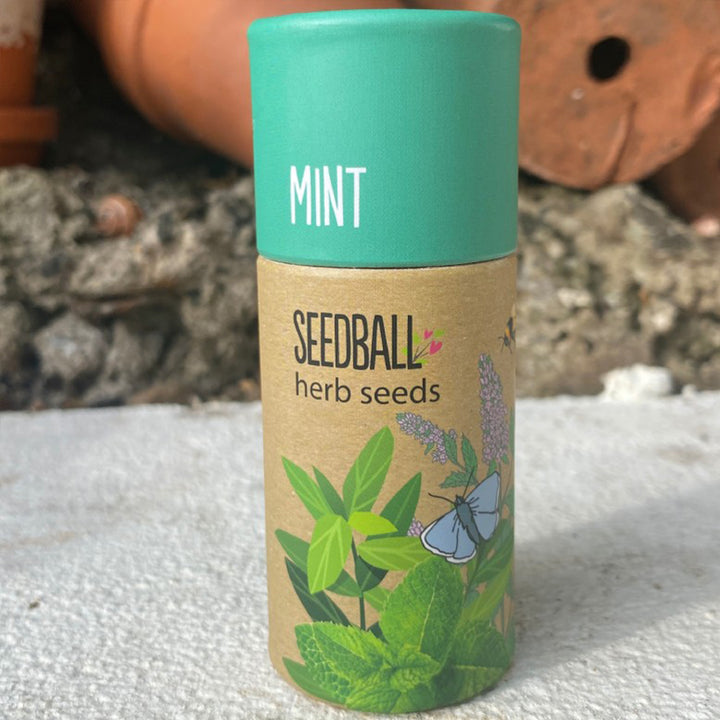 Mint | Luxury Tube of Seedballs | Cracker Filler | Little Gift