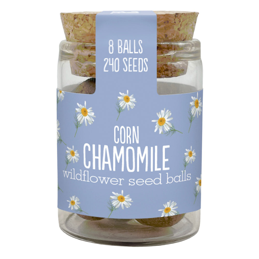 Gorgeous Wildflower Seed Ball Jar | 8 Balls | Cracker Filler | Little Gift