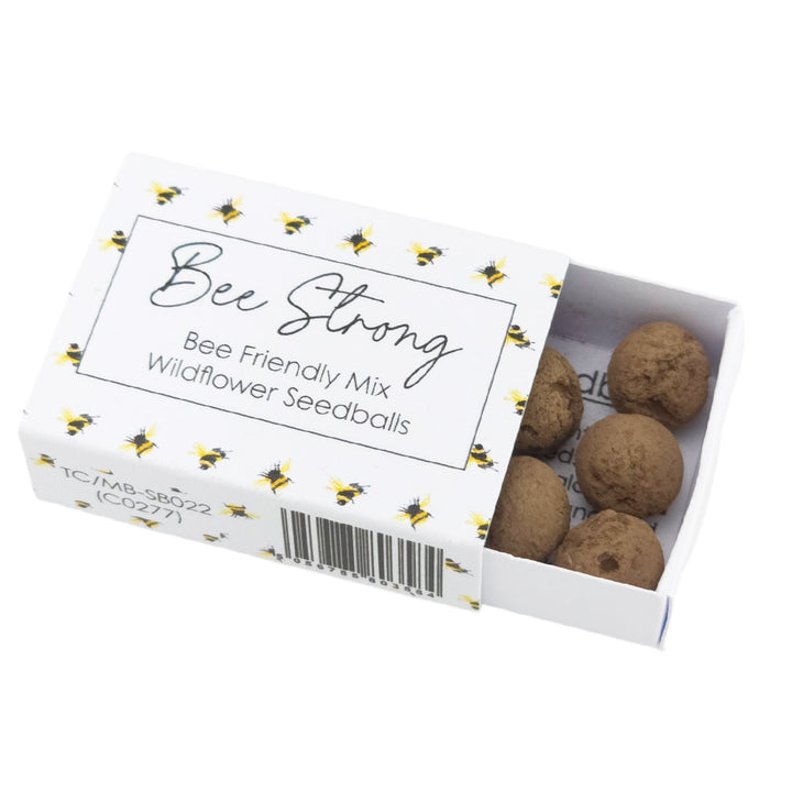 Bee Strong | Seedball Matchbox | Bee Mix | Cracker Filler | Little Gift