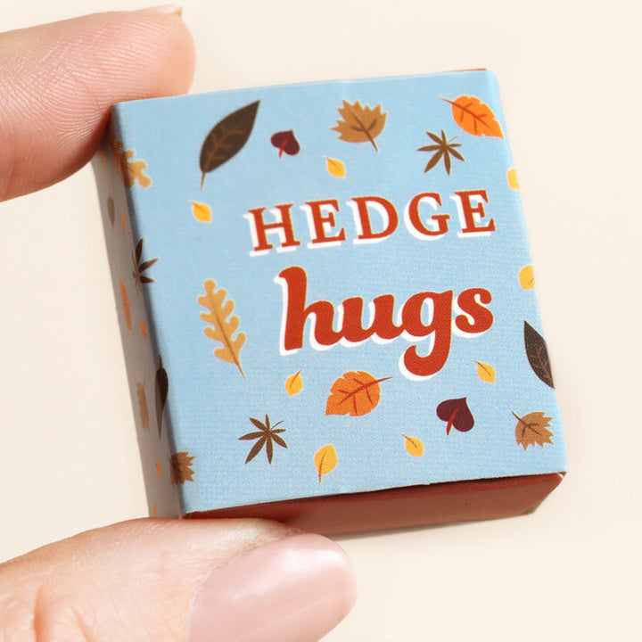 Hedge Hugs | Mini Matchbox & Hedgehog Token | Little Gift | Cracker Filler