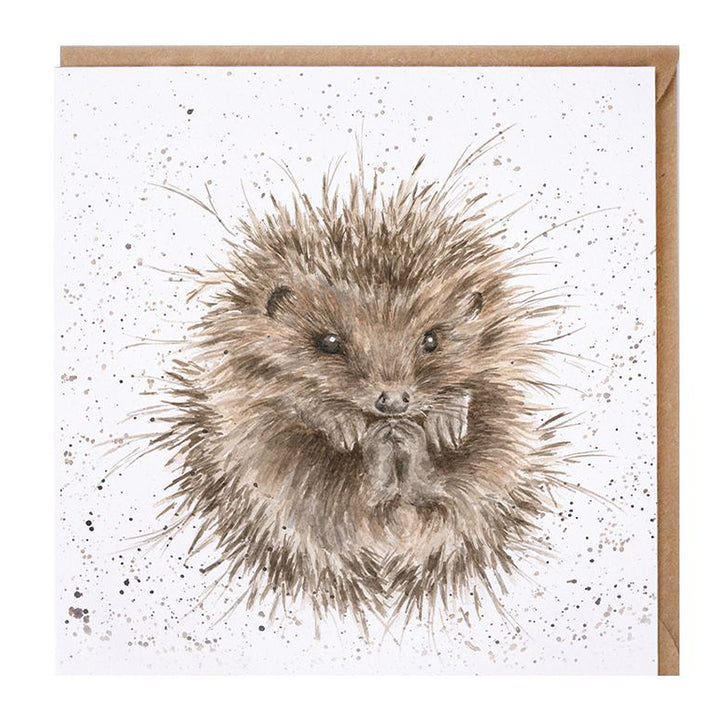 Hedgehog Awakening | Blank Card | 15x15cm | Wrendale Designs