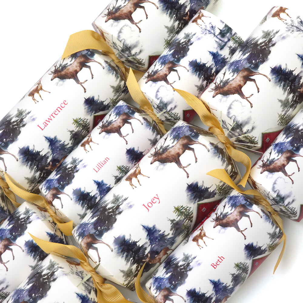 Personalised Cracker Making Craft Kit | Christmas in the Alps | Makes 4 or 6 Crackers