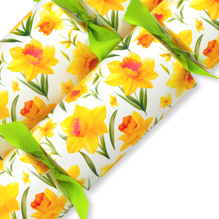 Spring Daffodils | Cracker Making Craft Kit | Make & Fill Your Own