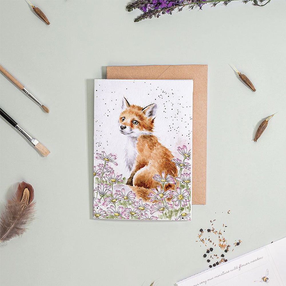 Fox and Daisies | Blank Card & Wild Flower Seeds | 10.5x15cm | Wrendale Designs