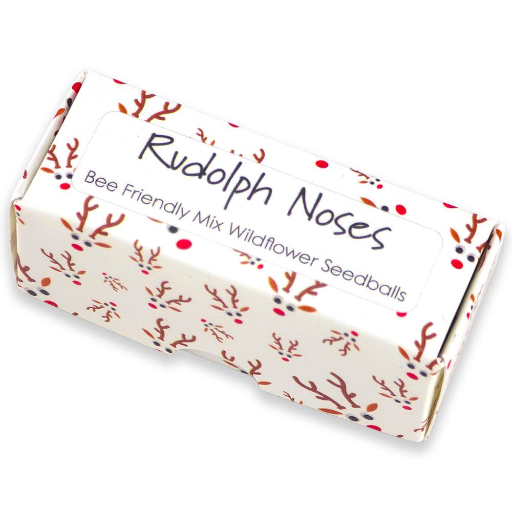 Rudolph Noses | Box of 20 Bee Mix Seedballs | Cracker Filler | Little Gift