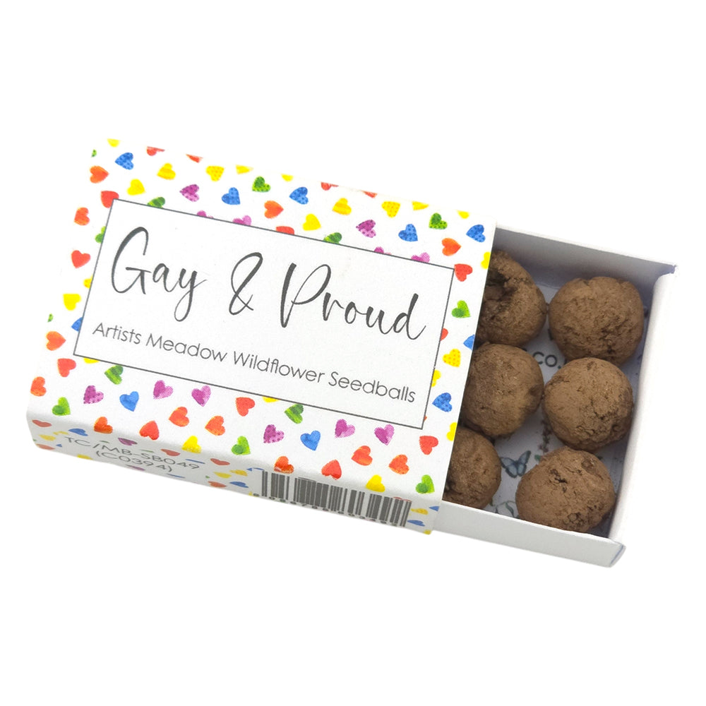 Gay and Proud | Artist Mix | Seedball Box | Cracker Filler | Little Gift