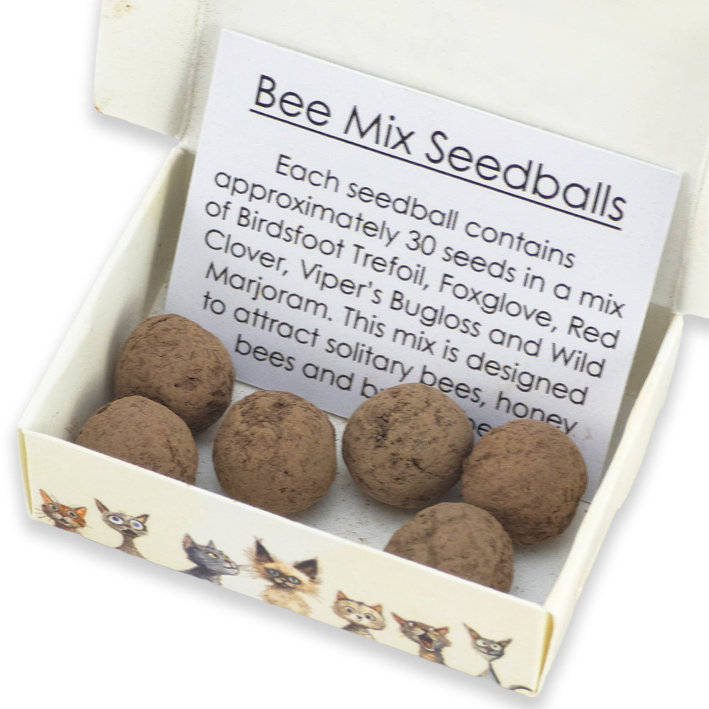 Little Cat Cling-Ons | 6 Seedball Matchbox | Bee Mix | Cracker Filler Gift