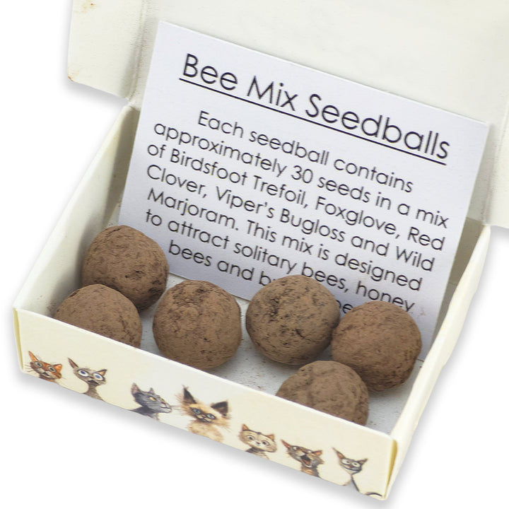 Little Cat Cling-Ons | 6 Seedball Matchbox | Bee Mix | Cracker Filler Gift