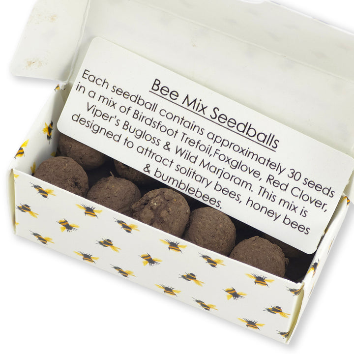 Bee Strong | Box of 20 Bee Mix Seedballs | Cracker Filler | Little Gift